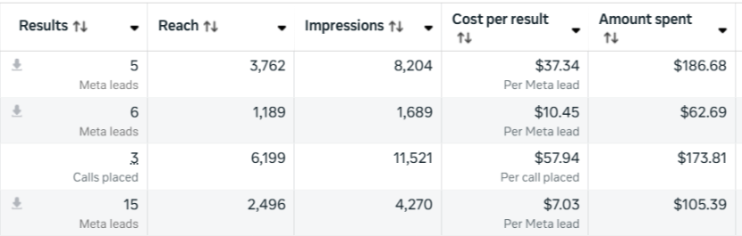 Meta Ads results showing leads at $7.03 to $10.45 per lead